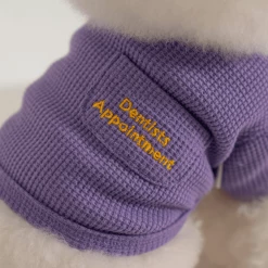 Dentists Appointment Waffle Crop Tee Purple