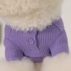 Dentists Appointment Waffle Crop Tee Purple