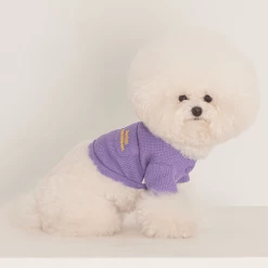 Dentists Appointment Waffle Crop Tee Purple