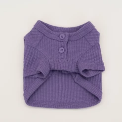 Dentists Appointment Waffle Crop Tee Purple