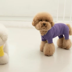 Dentists Appointment Waffle All-In-One Purple