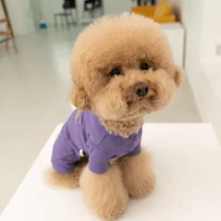 Dentists Appointment Waffle All-In-One Purple