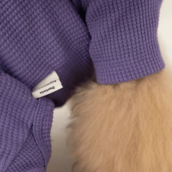 Dentists Appointment Waffle All-In-One Purple