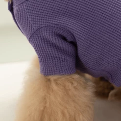 Dentists Appointment Waffle All-In-One Purple