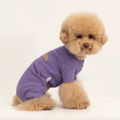 Dentists Appointment Waffle All-In-One Purple