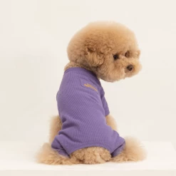 Dentists Appointment Waffle All-In-One Purple