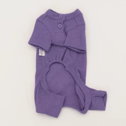 Dentists Appointment Waffle All-In-One Purple