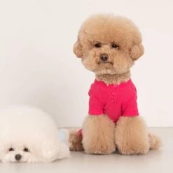 Dentists Appointment Wear Waffle All-In-One Magenta