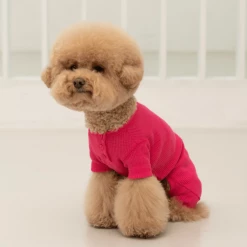 Dentists Appointment Wear Waffle All-In-One Magenta