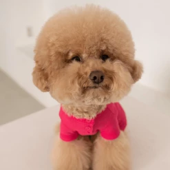 Dentists Appointment Wear Waffle All-In-One Magenta