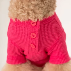 Dentists Appointment Wear Waffle All-In-One Magenta