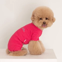 Dentists Appointment Wear Waffle All-In-One Magenta