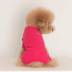 Dentists Appointment Wear Waffle All-In-One Magenta