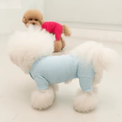 Dentists Appointment Wear Waffle All-In-One Blue