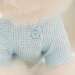 Dentists Appointment Wear Waffle All-In-One Blue