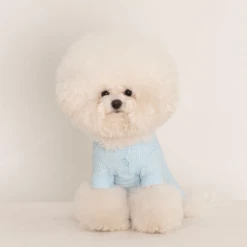 Dentists Appointment Wear Waffle All-In-One Blue