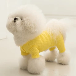 Dentists Appointment Waffle All-In-One Yellow Wear