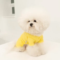 Dentists Appointment Waffle All-In-One Yellow Wear