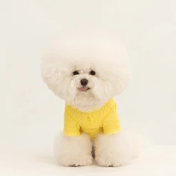 Dentists Appointment Waffle All-In-One Yellow Wear