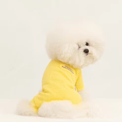 Dentists Appointment Waffle All-In-One Yellow Wear