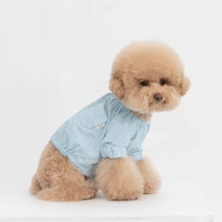 Dentists Appointment Pumpkin Crop T-Shirt Blue