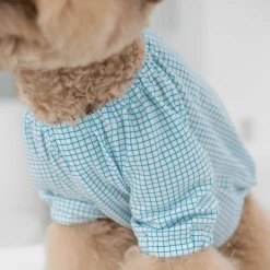 Dentists Appointment Pumpkin Crop T-Shirt Blue