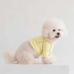 Dentists Appointment Pumpkin Crop T-Shirt Yellow Wear