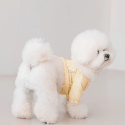 Dentists Appointment Pumpkin Crop T-Shirt Yellow Wear