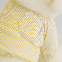 Dentists Appointment Pumpkin Crop T-Shirt Yellow Wear