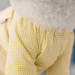 Dentists Appointment Pumpkin Crop T-Shirt Yellow Wear