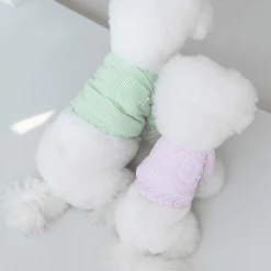 Dentists Appointment Pumpkin Crop T-Shirt Green Wear