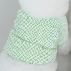 Dentists Appointment Pumpkin Crop T-Shirt Green Wear