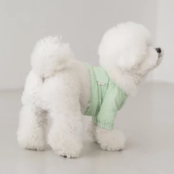 Dentists Appointment Pumpkin Crop T-Shirt Green Wear