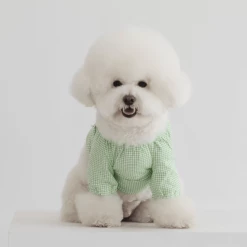 Dentists Appointment Pumpkin Crop T-Shirt Green Wear