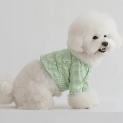 Dentists Appointment Pumpkin Crop T-Shirt Green Wear