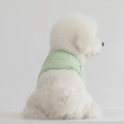 Dentists Appointment Pumpkin Crop T-Shirt Green Wear