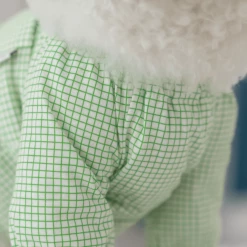 Dentists Appointment Pumpkin Crop T-Shirt Green Wear