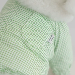 Dentists Appointment Pumpkin Crop T-Shirt Green Wear