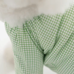 Dentists Appointment Pumpkin Crop T-Shirt Green Wear