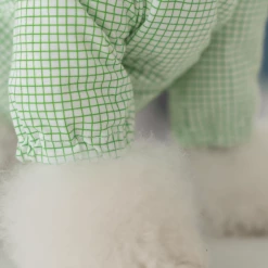 Dentists Appointment Pumpkin Crop T-Shirt Green Wear