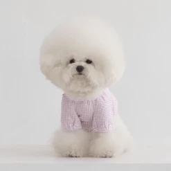 Dentists Appointment Pumpkin Crop T-Shirt Purple