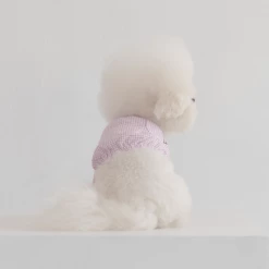 Dentists Appointment Pumpkin Crop T-Shirt Purple