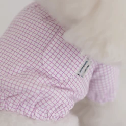 Dentists Appointment Pumpkin Crop T-Shirt Purple