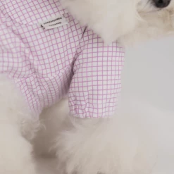 Dentists Appointment Pumpkin Crop T-Shirt Purple