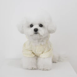 Near By Us Easy Raincoat Yellow Outerwear