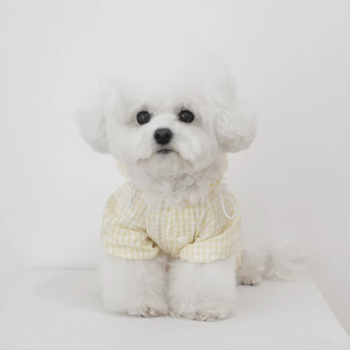 Budget 🛒 Near By Us Easy Raincoat Yellow Outerwear 🛒 3 Near By Us Easy Raincoat Yellow Outerwear