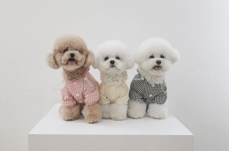 Budget 🛒 Near By Us Easy Raincoat Yellow Outerwear 🛒 6 Near By Us Easy Raincoat Yellow Outerwear