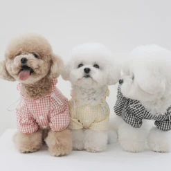 Budget 🛒 Near By Us Easy Raincoat Yellow Outerwear 🛒 15 Near By Us Easy Raincoat Yellow Outerwear