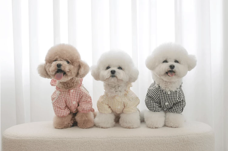 Budget 🛒 Near By Us Easy Raincoat Yellow Outerwear 🛒 8 Near By Us Easy Raincoat Yellow Outerwear