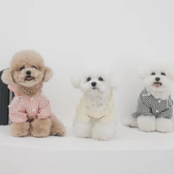 Budget 🛒 Near By Us Easy Raincoat Yellow Outerwear 🛒 17 Near By Us Easy Raincoat Yellow Outerwear